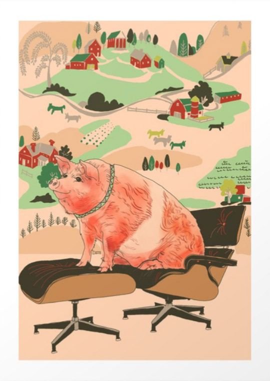 may5pigchair.jpg