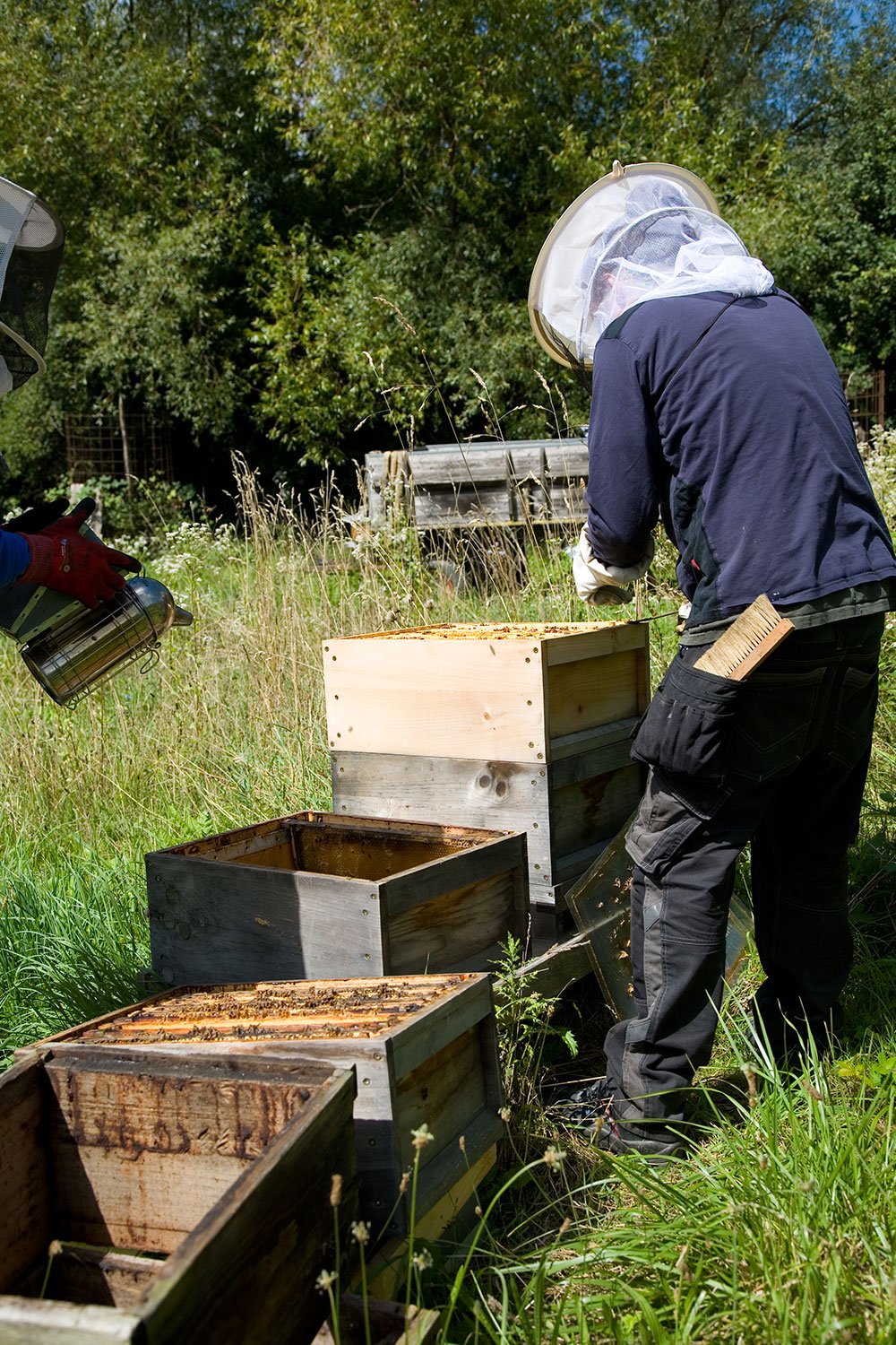 Working On An Open Hive