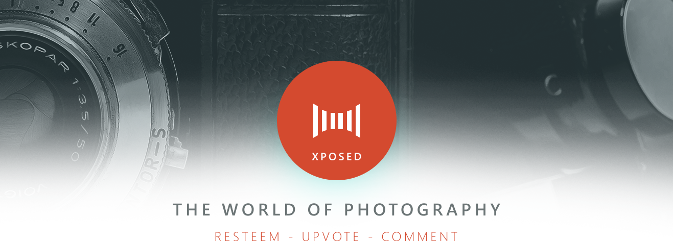 XPOSED on Steemit