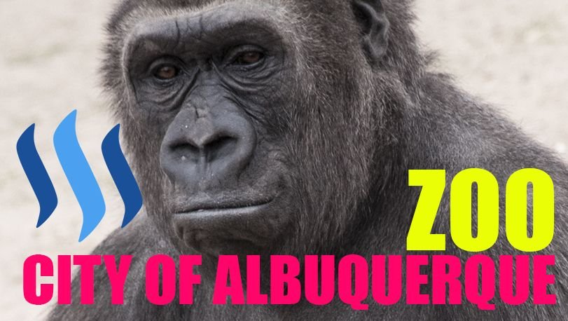 zoo thumbnail.jpg