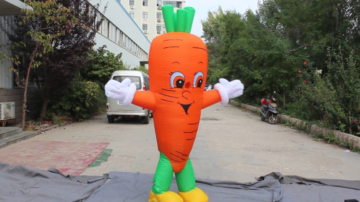 Screenshot-2018-3-13 giant carrot - Google Search(1).png