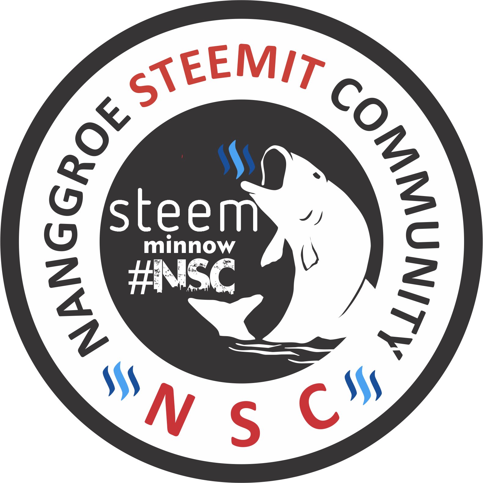 STEEM NSC.png