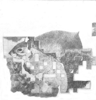 763.jpg