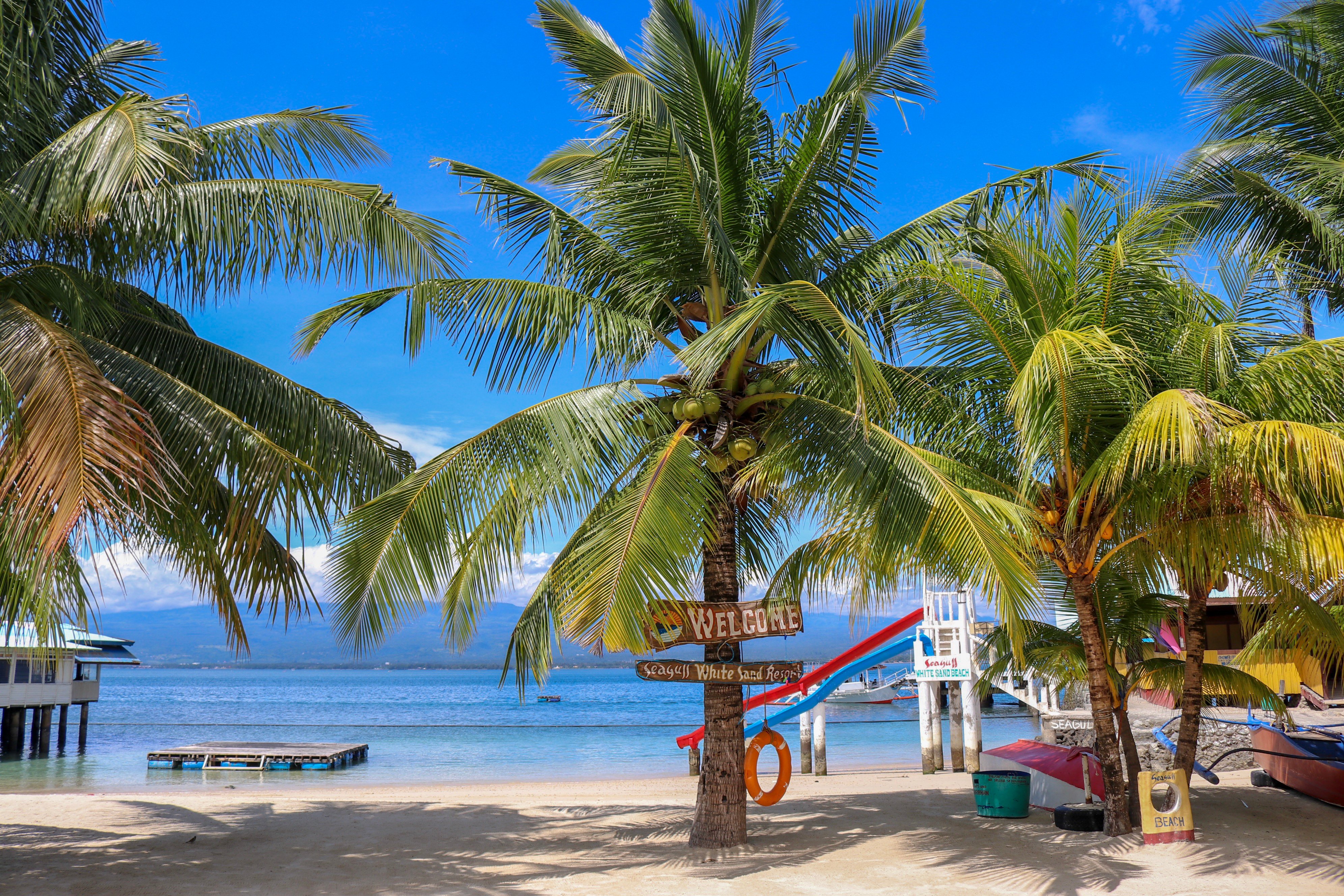 Seagull White Sand Beach Resort In Davao City Philippines Steemkr Facilities Include A Small Swimming Beach With Slides Floating Restaurant Can Ing Cold Beer As Well Other Items Undercover Cottage For
