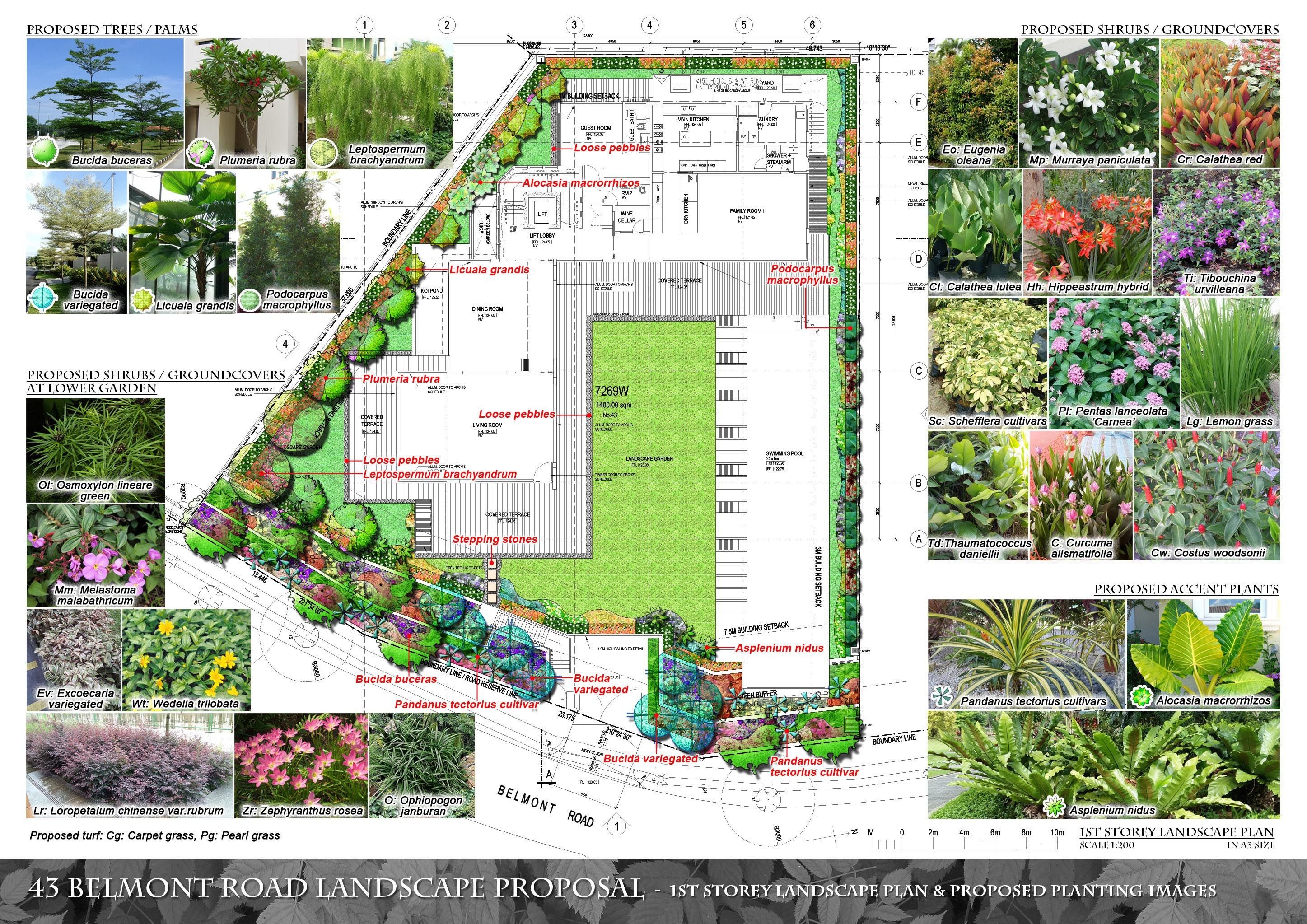 freelance-landscape-design01.jpg