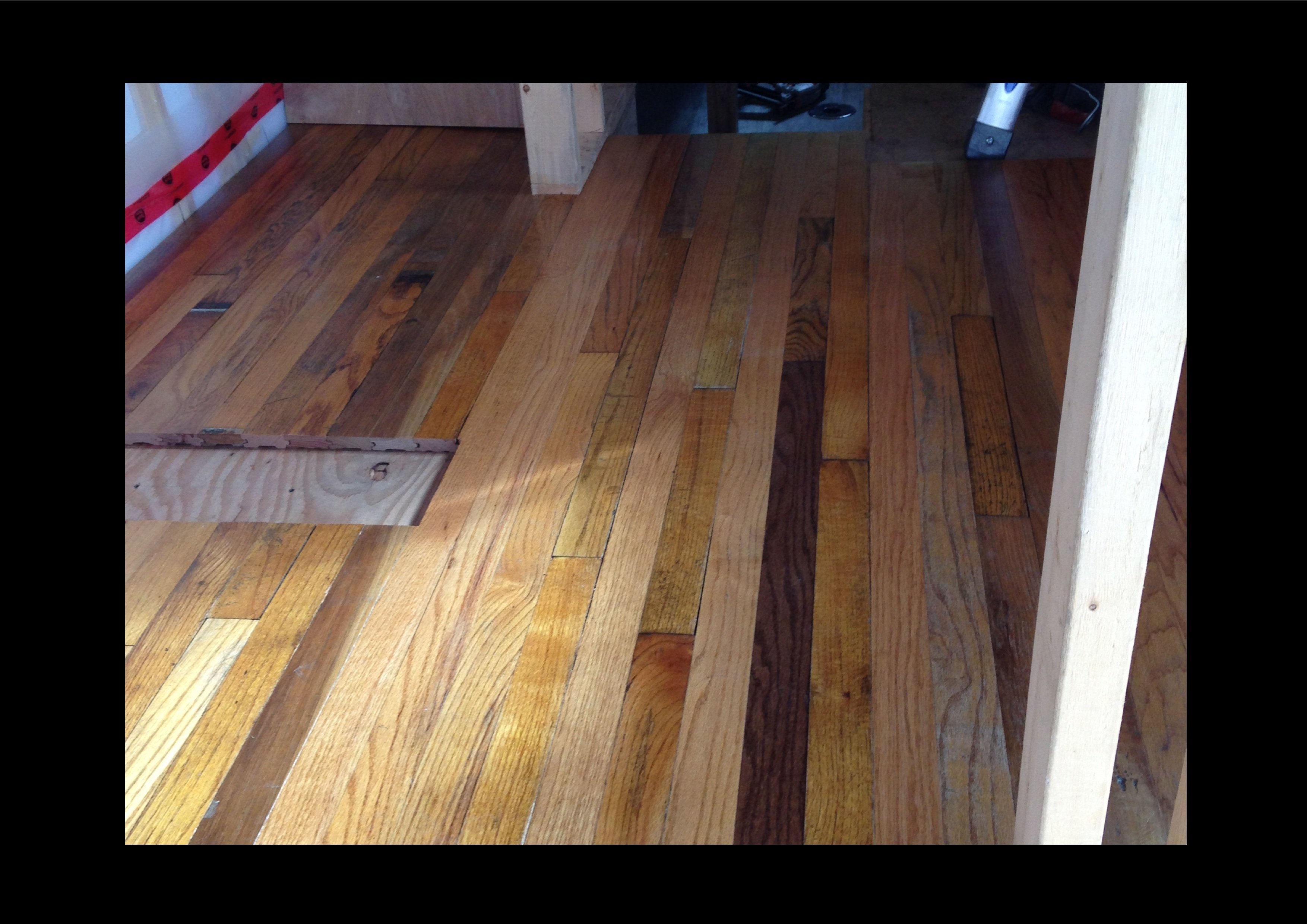 hardwood #4.jpg