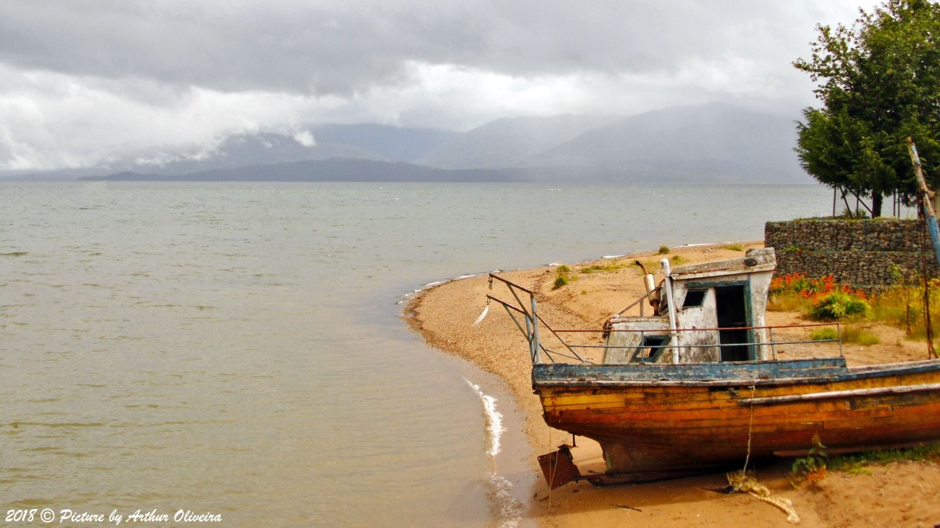 Puerto Cisnes' Bay - Chile.