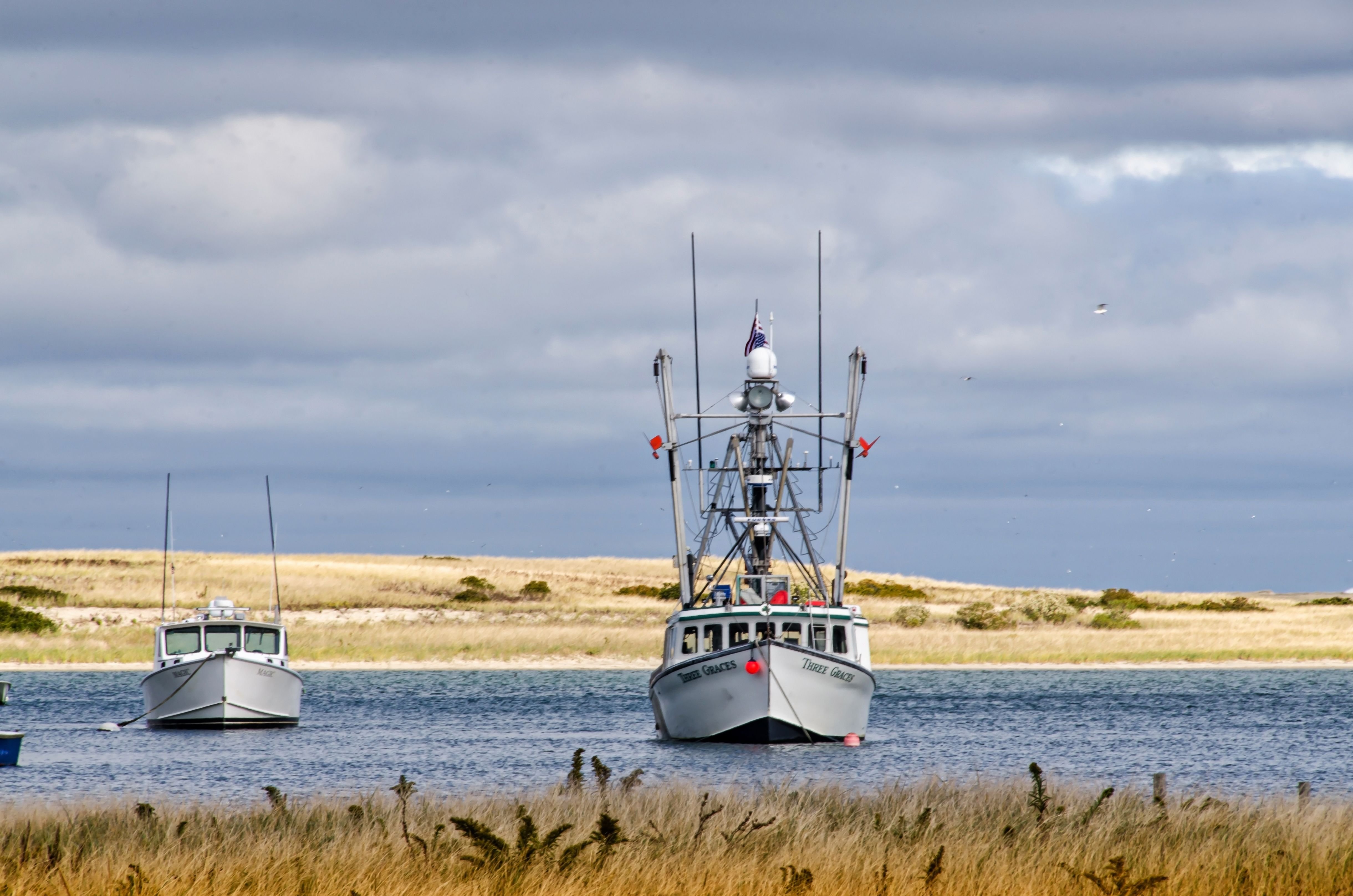 Three Graces On The Hook.jpg