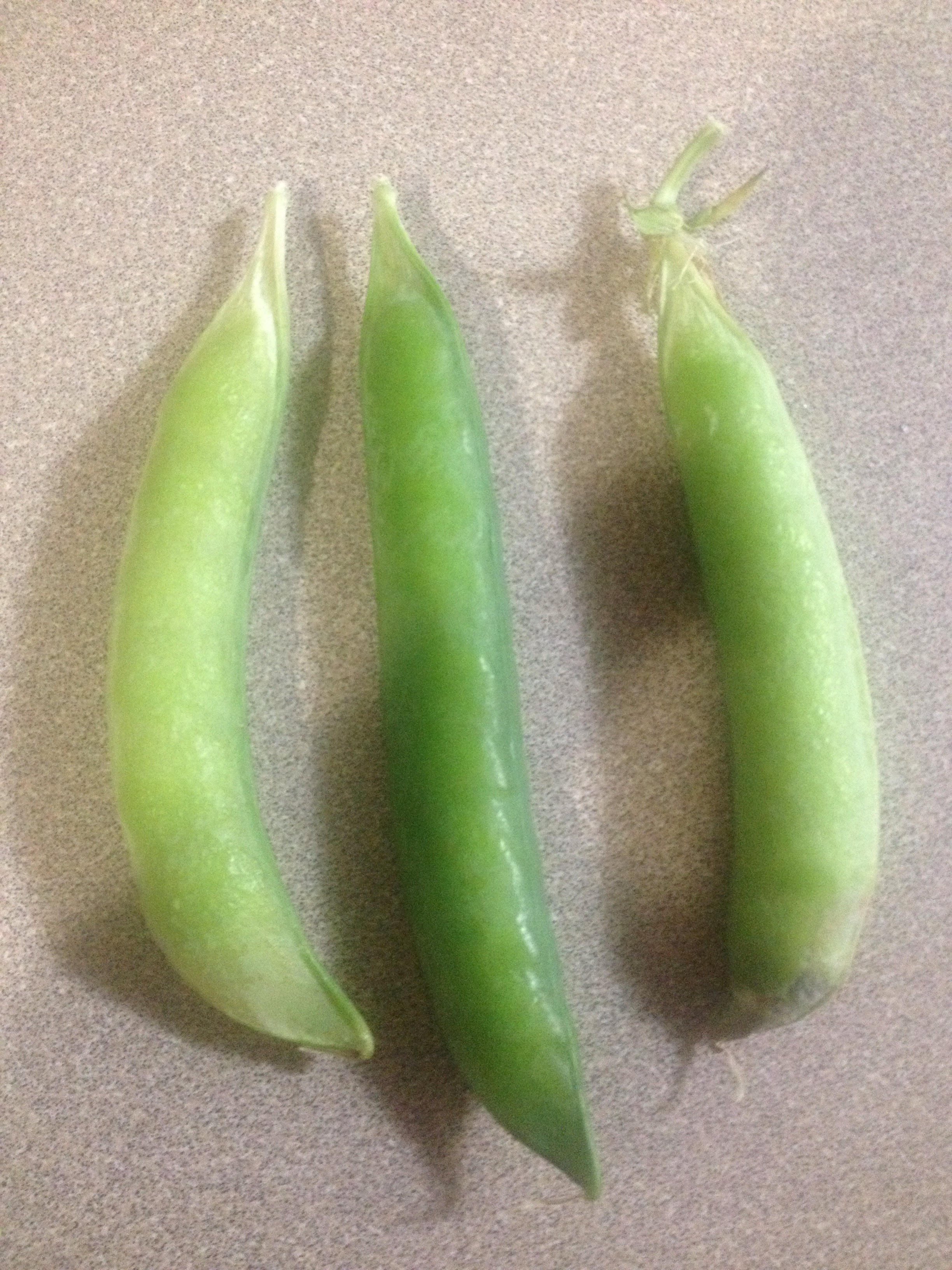 pea pods.jpg