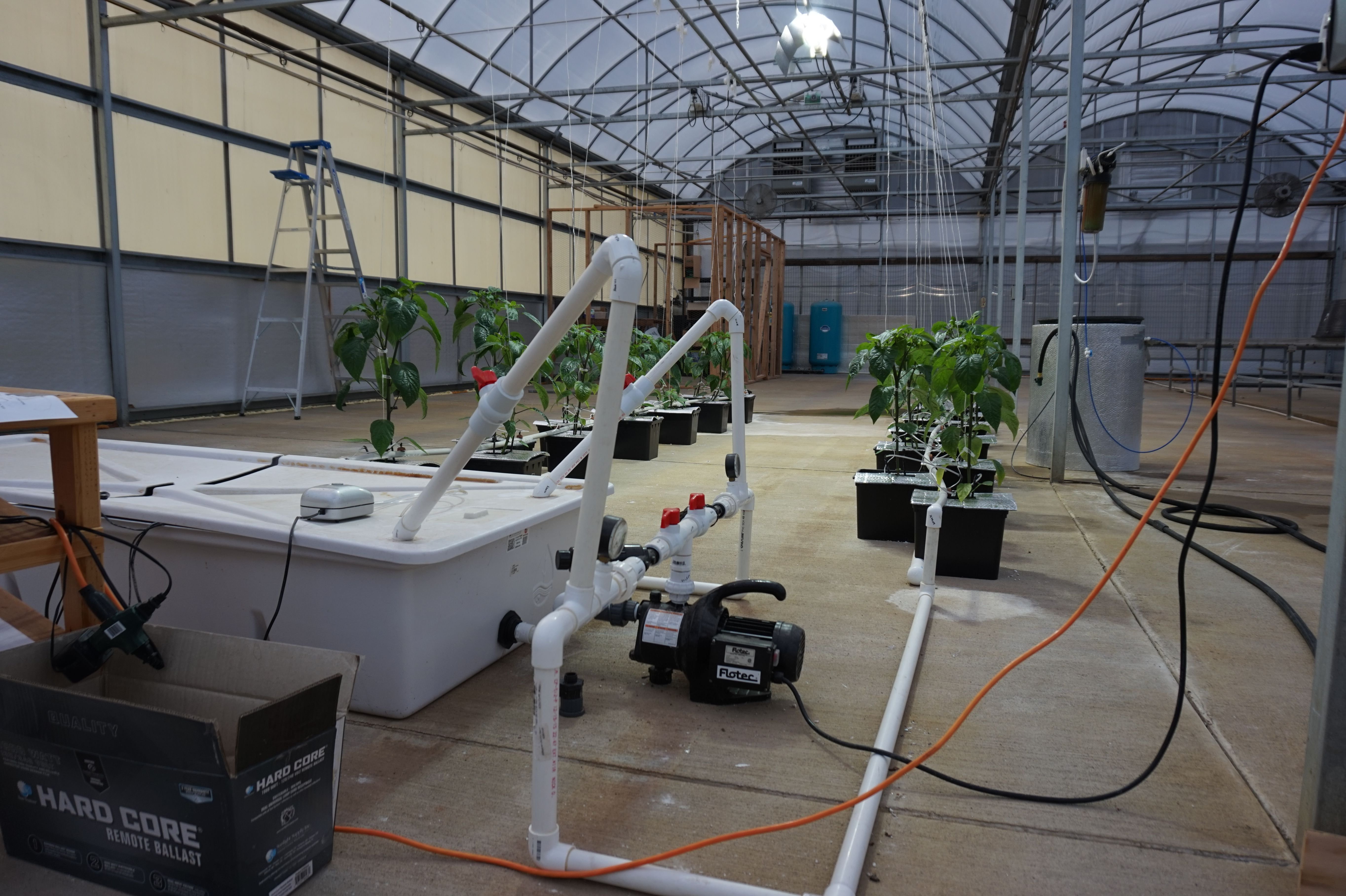 Drain To Waste Hydroponics System Best Drain Photos