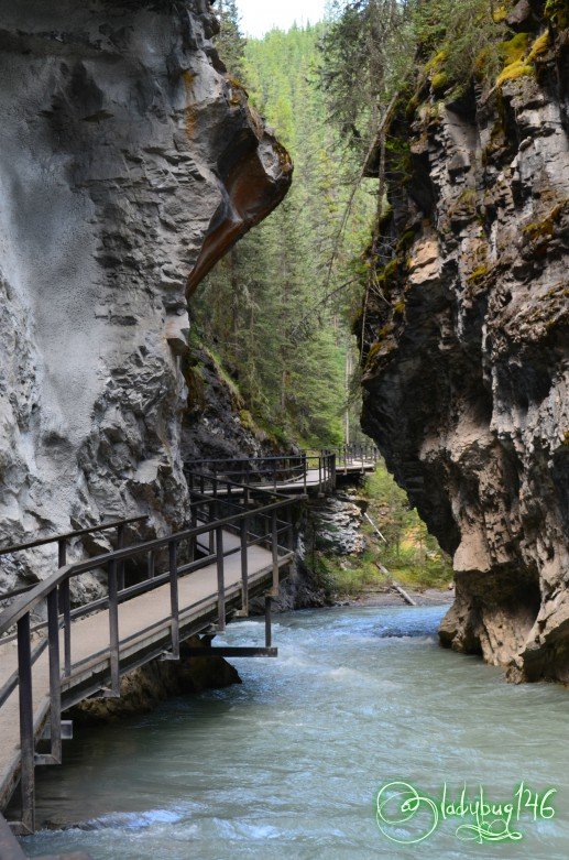 johnston_canyon3.jpg