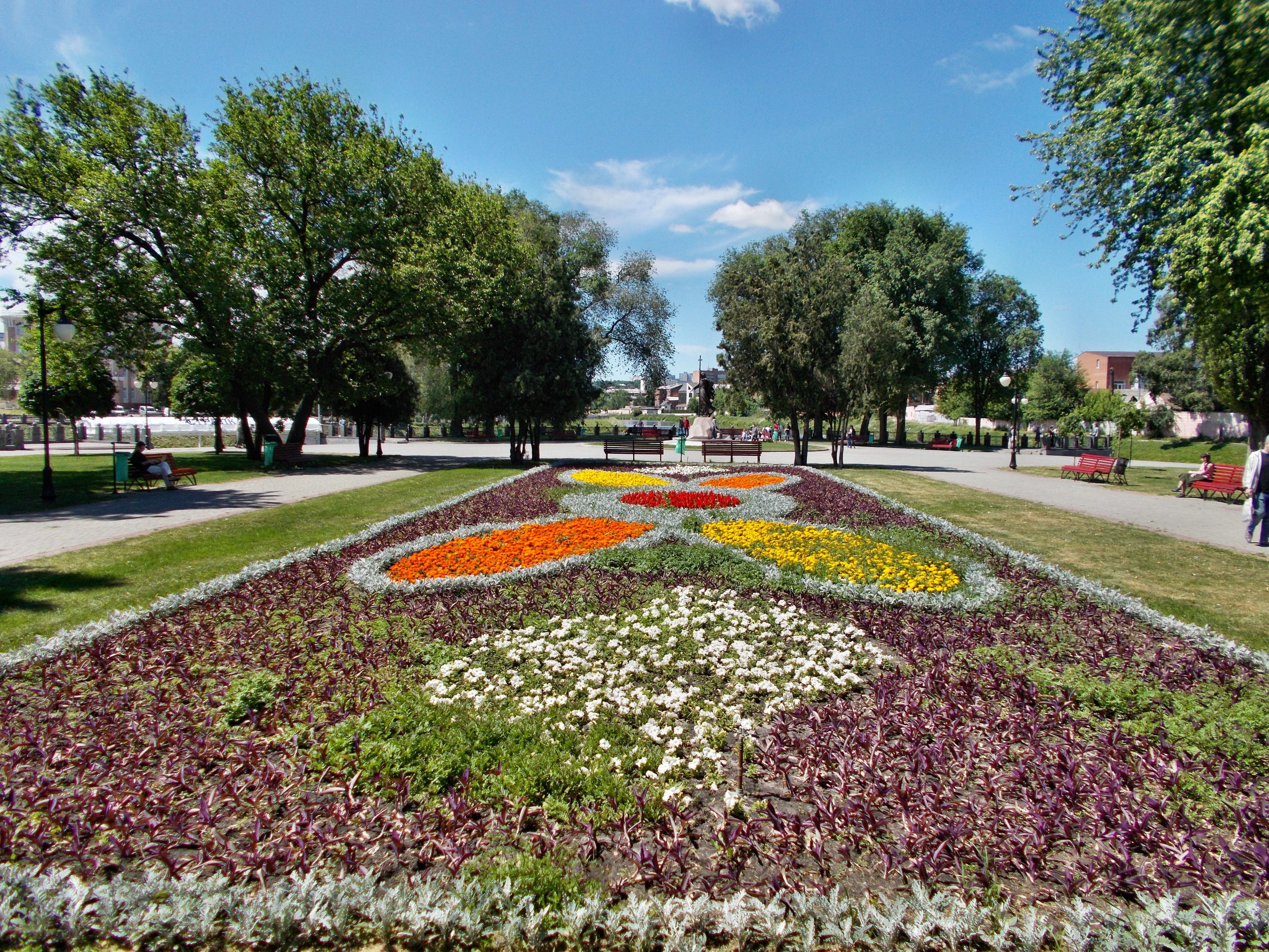 Flowers Ukraine Kharkiv Best Flower Site