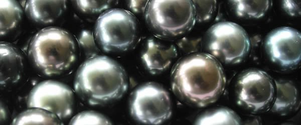 tahitian-black-pearls_1.jpg