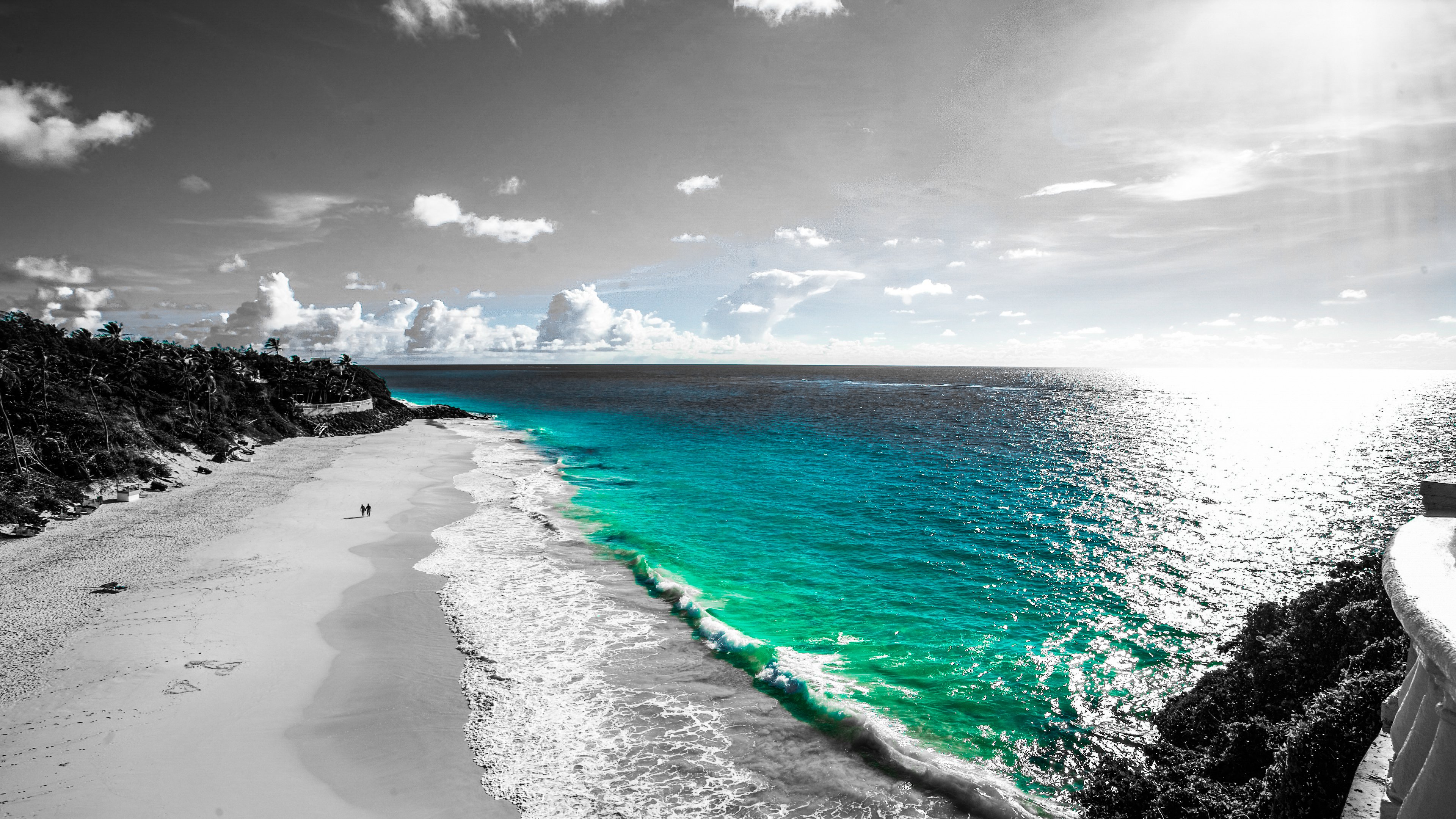 (Nature) Beach Tropics Sea Sand Grass 4k / Resolution