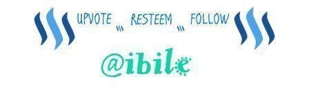 follow ibile.jpg