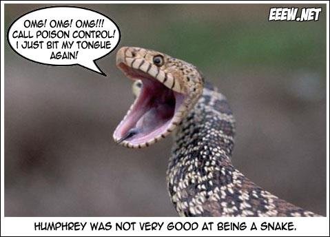 snake-bite.jpg