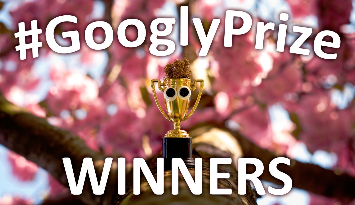 Googly Prize Winners Issue 39