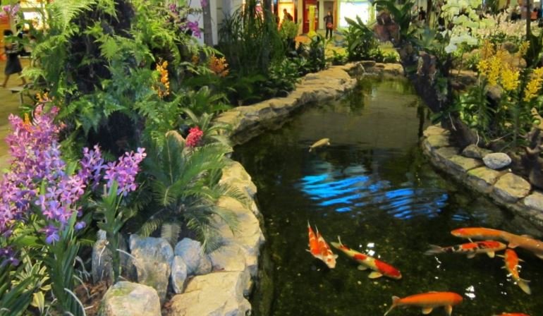 Koi Pond.JPG