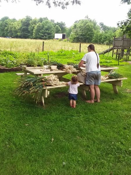 Pam and Ella doing garlic crop July 2014.jpg