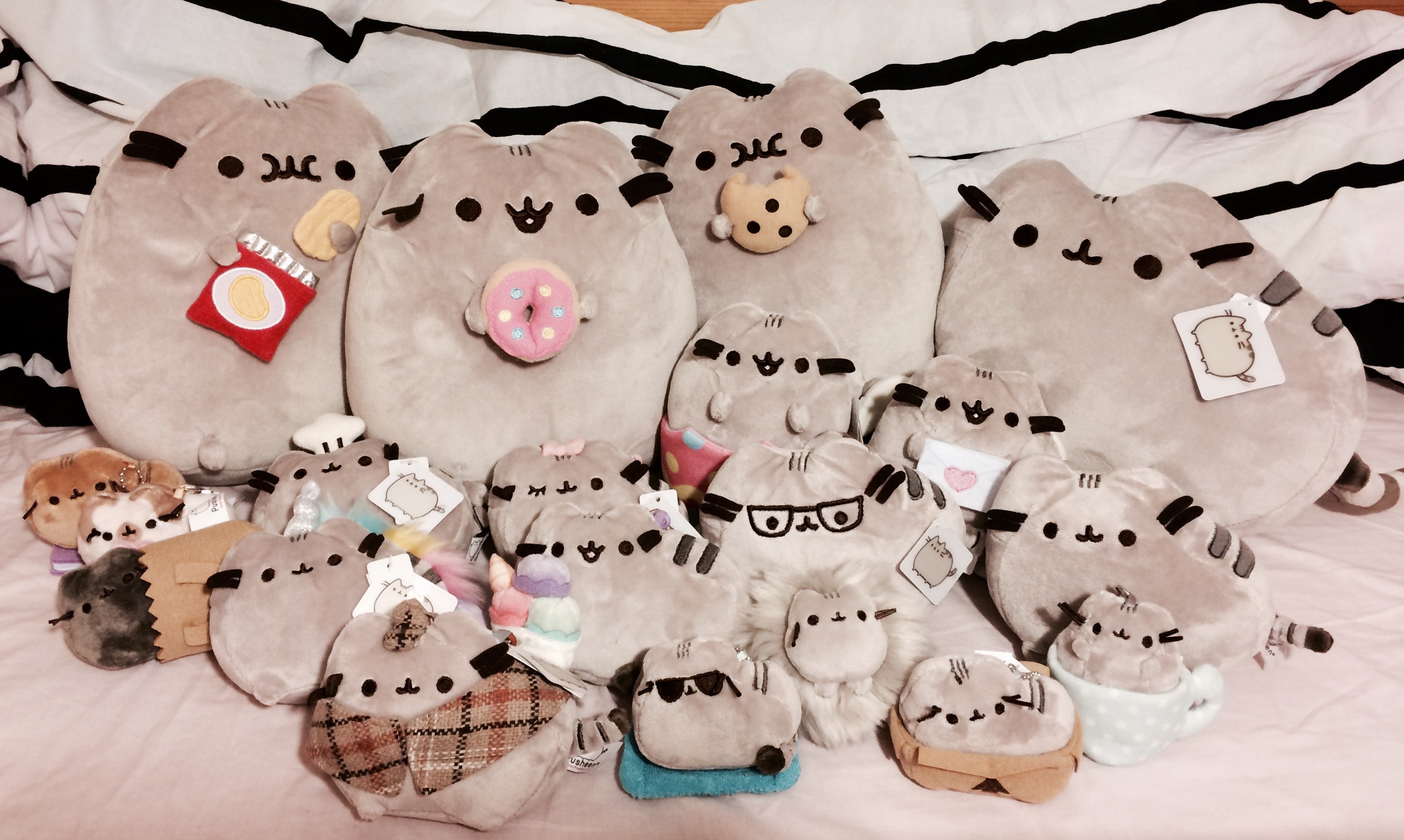 pusheen plush collection