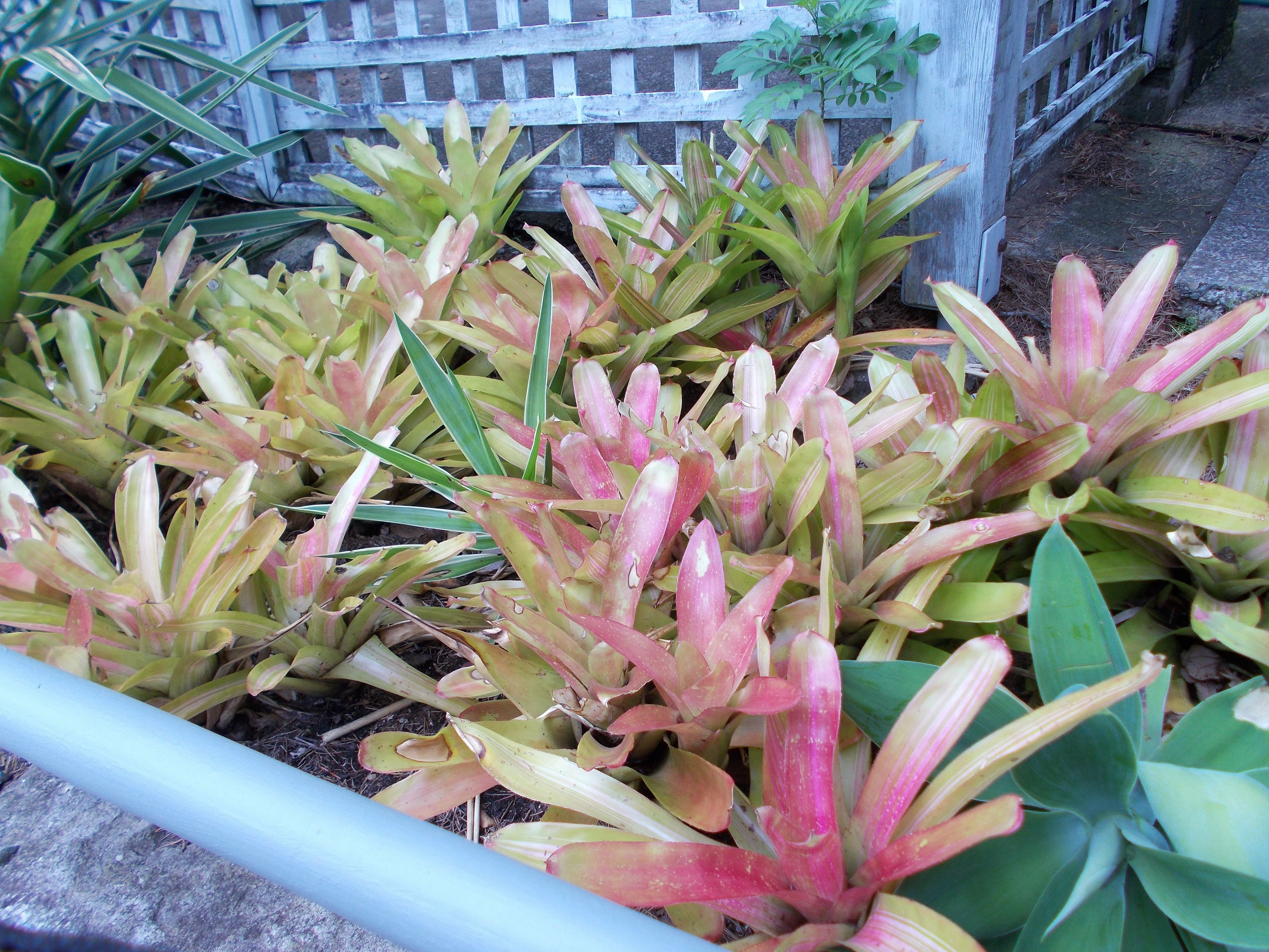Types Of Leaves At Work Place