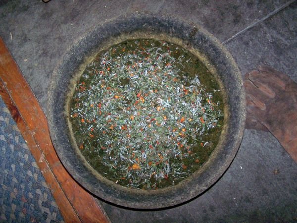 Alfalfa mash with herbs crop Dec. 2017.jpg