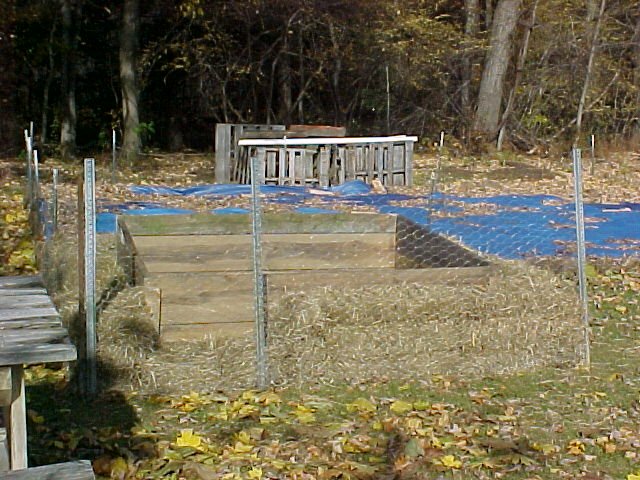 Cold.frame.rebuilt2.Nov.05.jpg