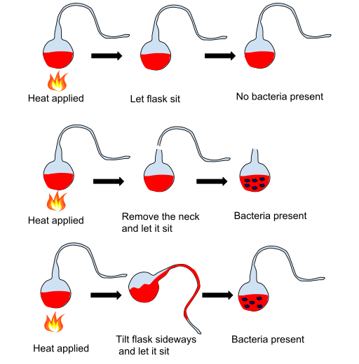 Louis_Pasteur_Experiment.svg.png