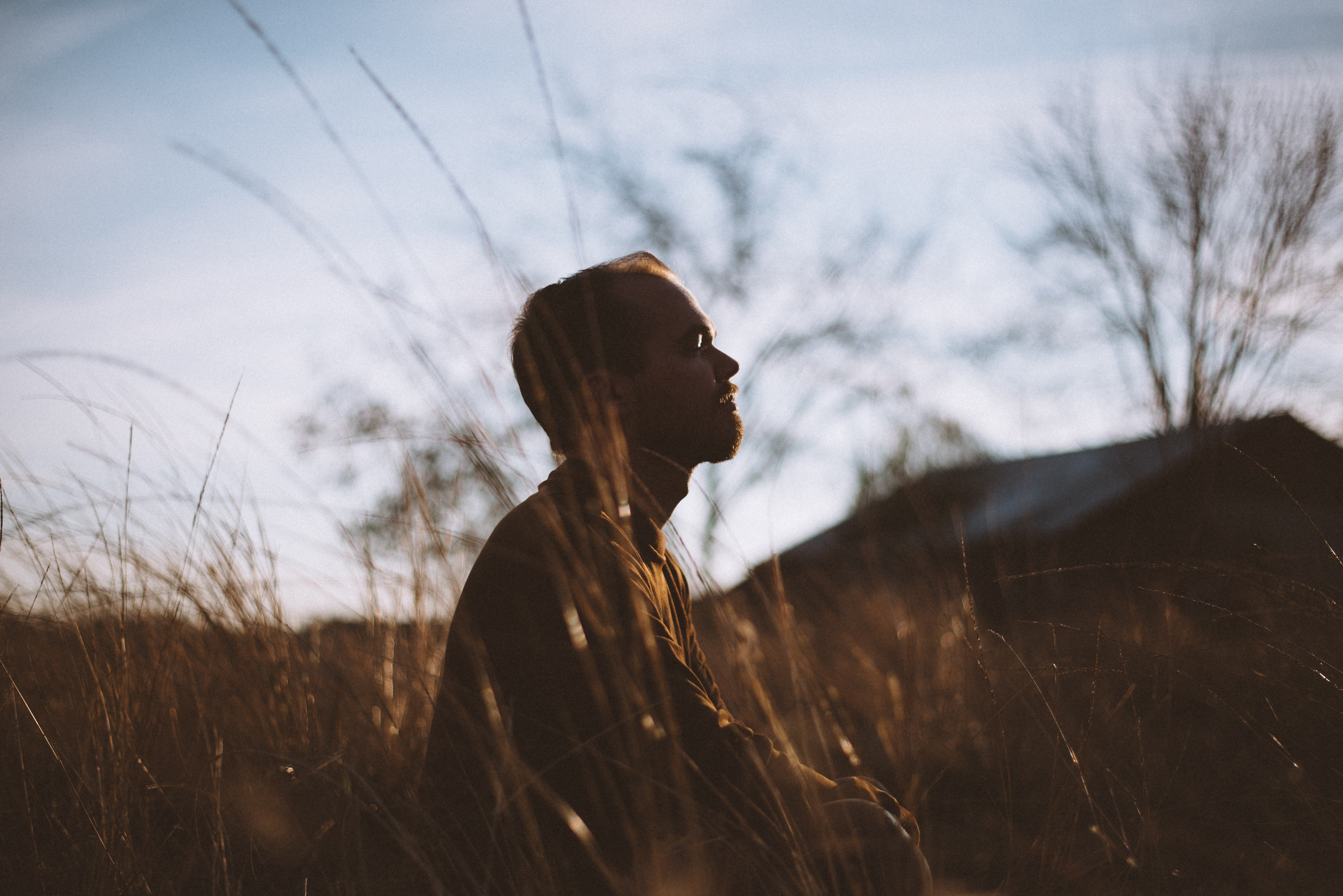 adult-backlit-countryside-775417.jpg