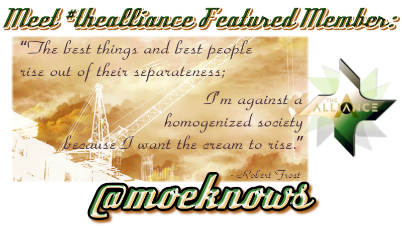 moeknows header.png