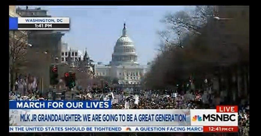 180324,Sat  17--March-For-Our-Lives--crowd-pic-4.png