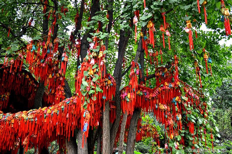 chengdu-china-25 copy.jpg