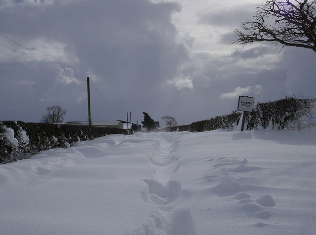 2018 Feb BEAST FROM THE EAST.jpg