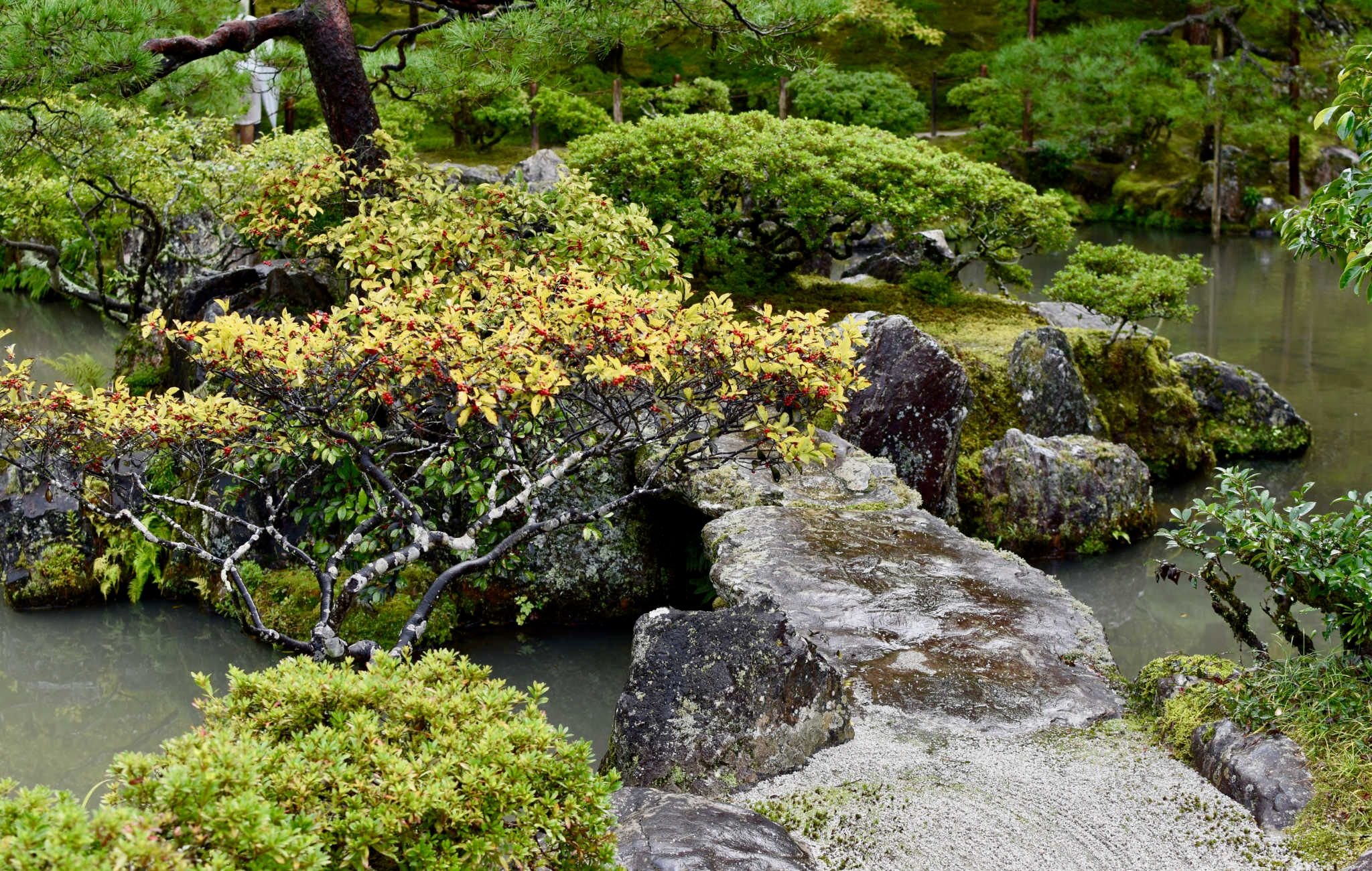 ginkaku-ji-8.jpg