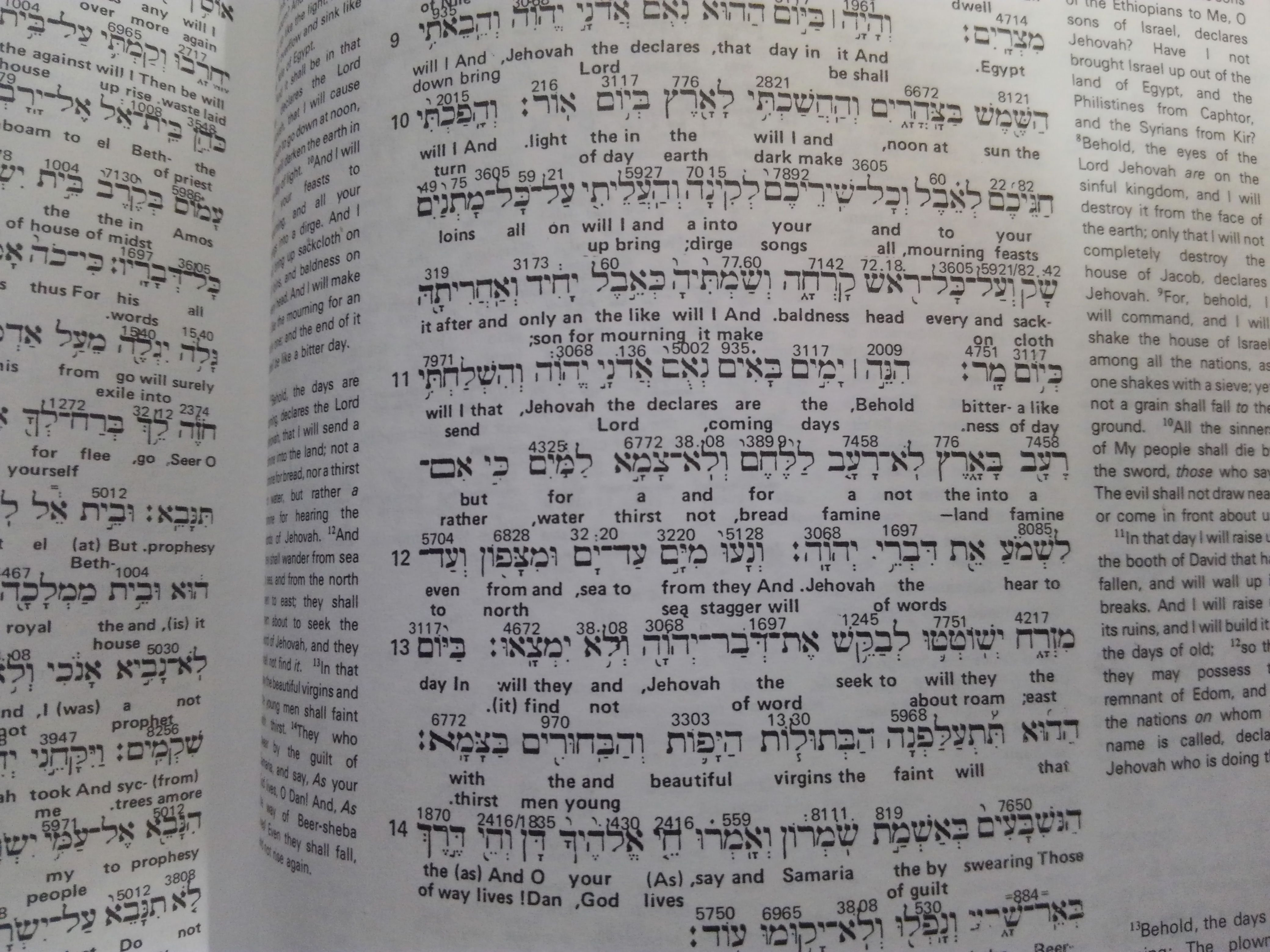 Growing potatoes in a 55 gallon plastic drum — Steemit, image size:4160x3120