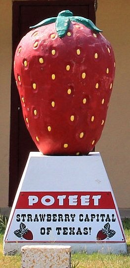 Poteet_Texas_Strawberry_Landmark 02.jpg