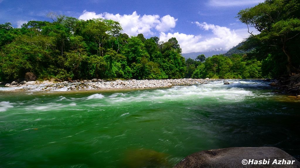 RIVER LANDSCAPE.jpg