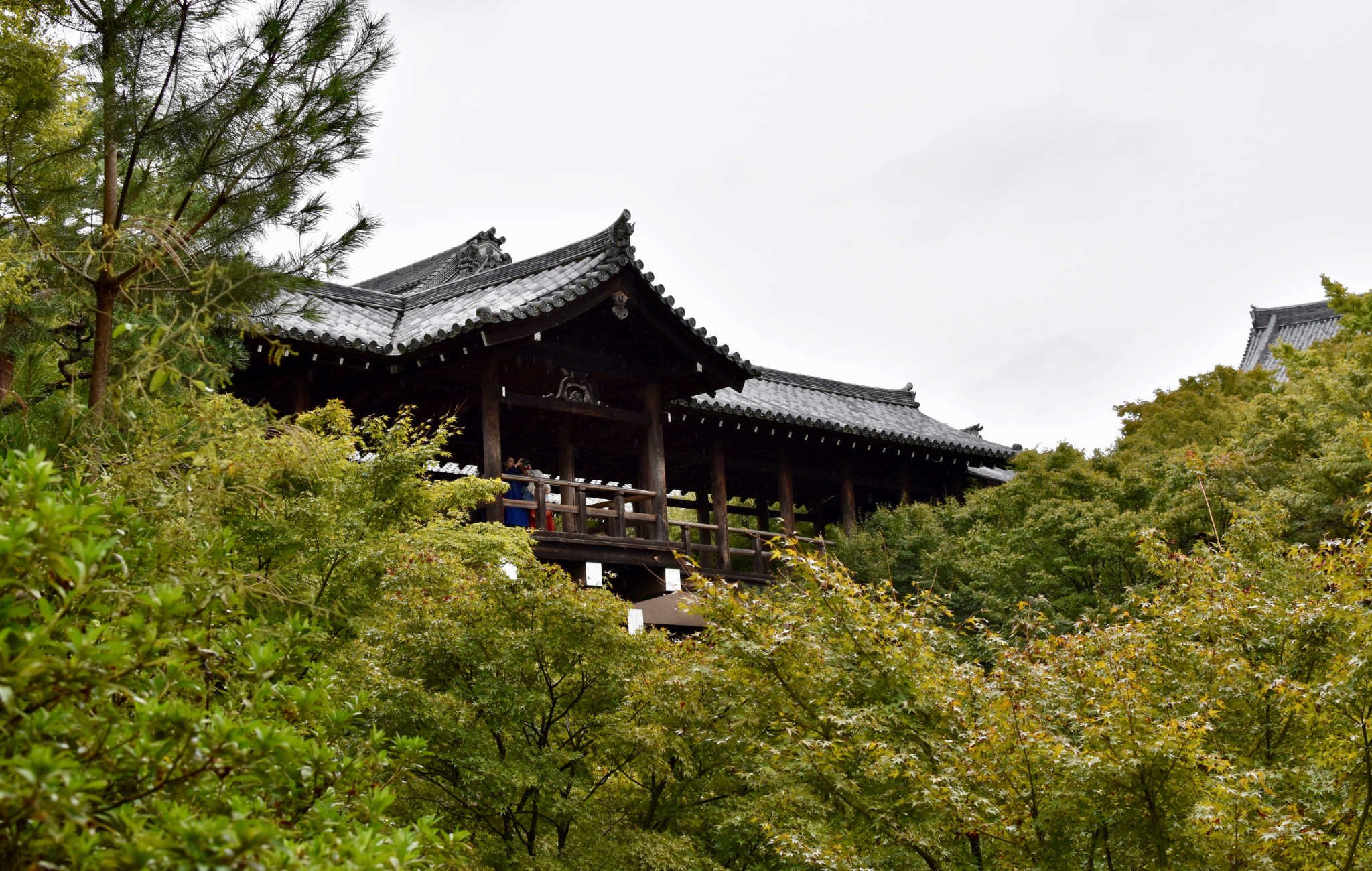 tofuku-ji-4.jpg