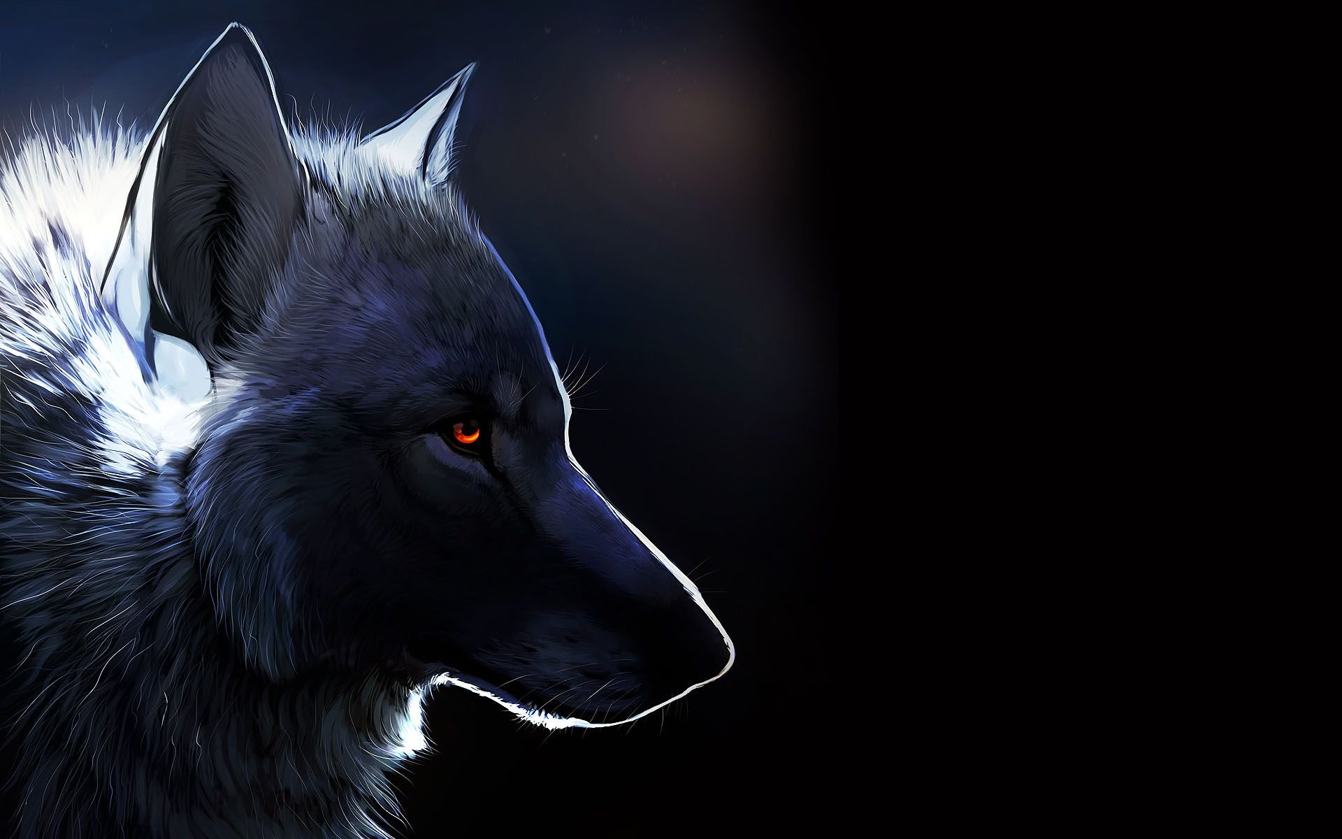 Dark-wolf-hd-wallpaper.jpg