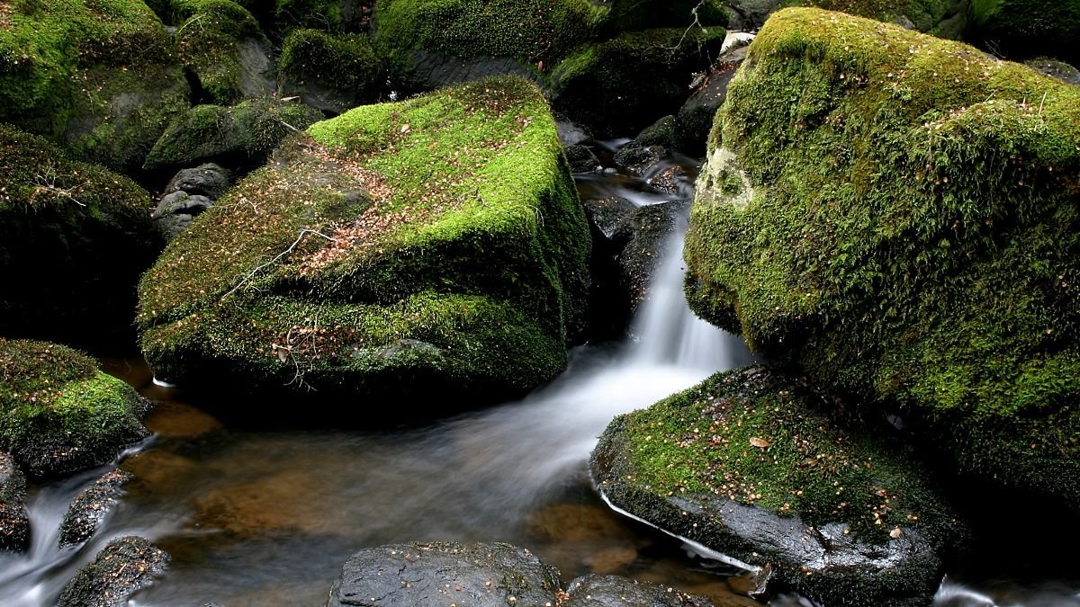 Wandle Falls 2.jpg