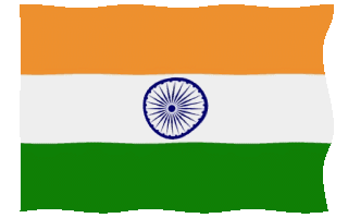 indian flag.gif