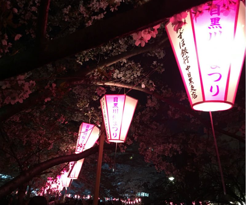 Color Challenge: Monday Red: Cherry Blossoms by Night (and haiku)