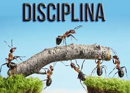 disciplina.jpg