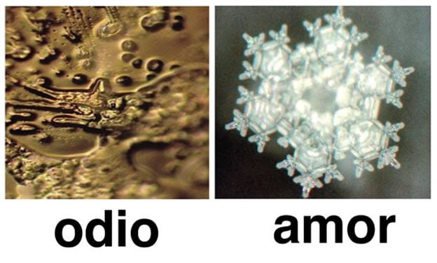 masaru-emoto-odio-amor.jpg