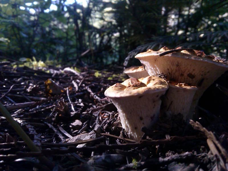 Home Based Business Ideas For Moms Home Based Business Ideas For Moms