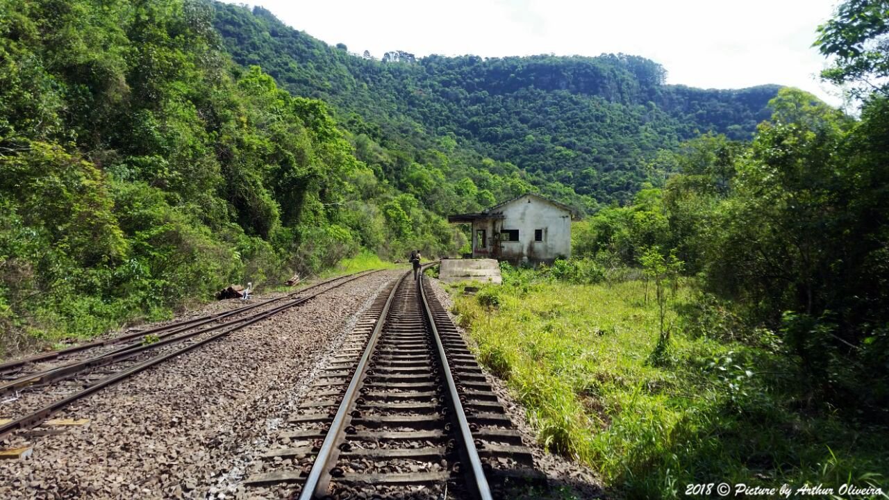 ESTAÇÃO ARMADILHA