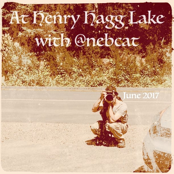 lakeintro_nebcat_robyneggs_612.jpg