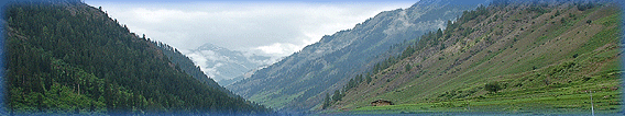 kasmir_pic (1).gif