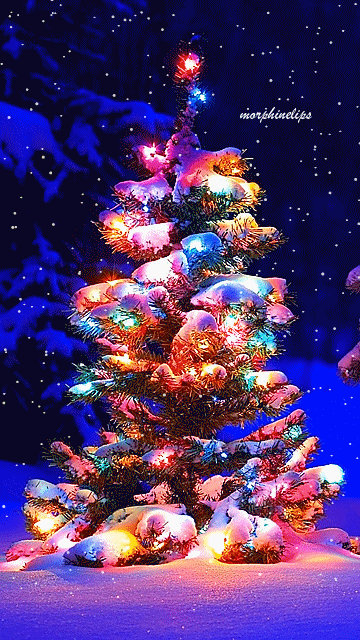 christmas-tree-animated-gif-36.gif
