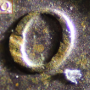 1cent_oneu_90x90.png